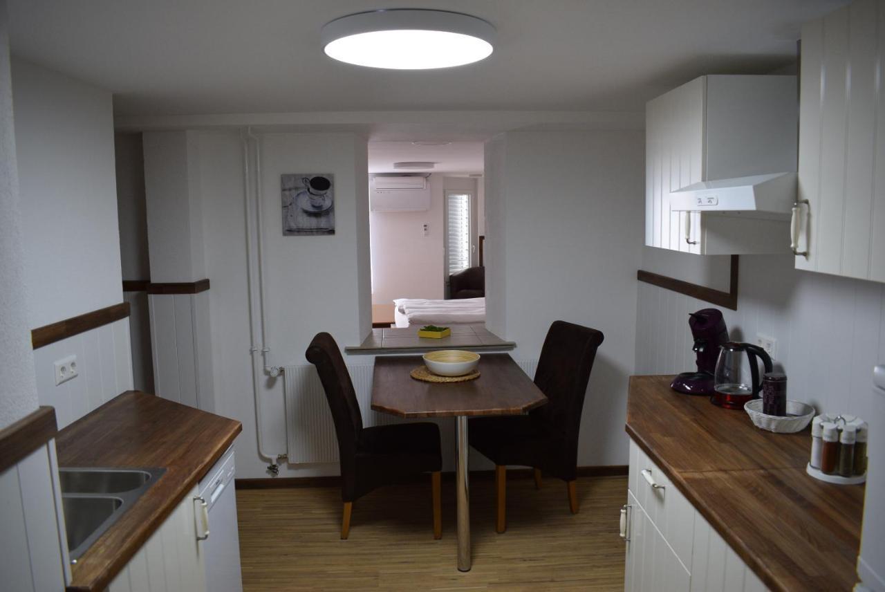 Apartments mit Klimaanlage am Neckarufer Bad Friedrichshall Bagian luar foto